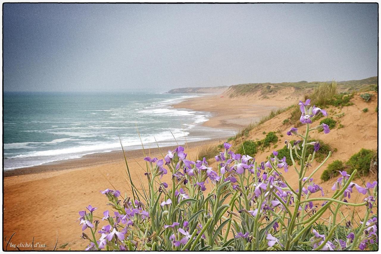 Appartamento Le Colombier Les Sables-dʼOlonne Esterno foto
